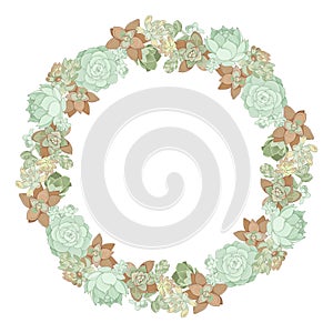 Wreath of succulents of different types on a white background